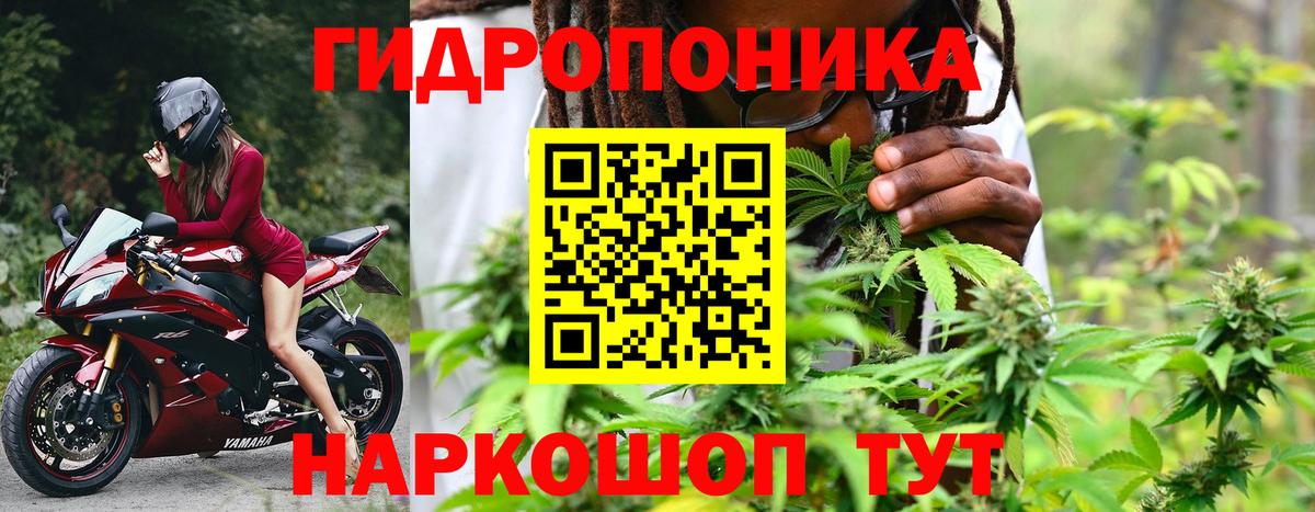 Конопля ГИДРОПОН Кувандык